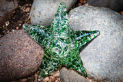 starfish with cremation ash